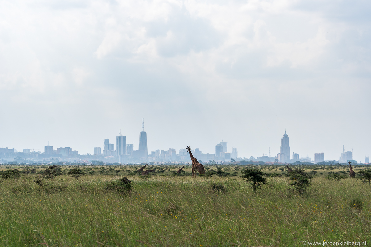 National Park Nairobi